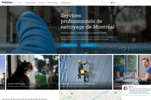 Window Cleaning Company