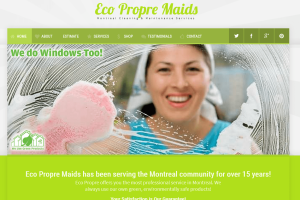 Information E-Commerce