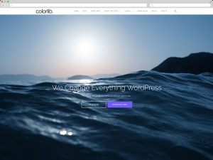 Free Wordpress Themes By Colorlib